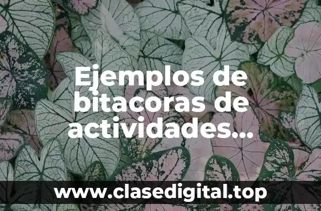 Ejemplos de bitacoras de actividades escolares y Significado