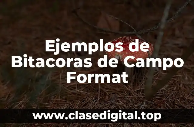 Ejemplos de Bitacoras de Campo Format