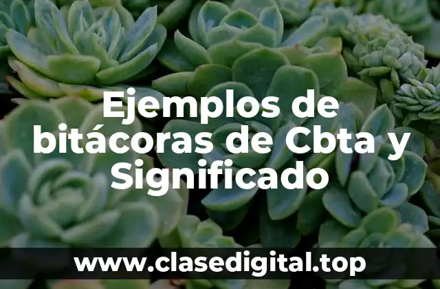 Ejemplos de bitácoras de Cbta y Significado
