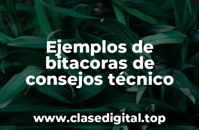 Ejemplos de bitacoras de consejos técnico-a fase intensiva