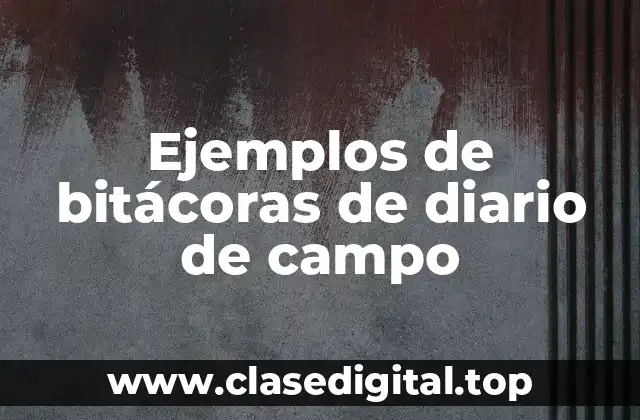 Ejemplos de bitácoras de diario de campo