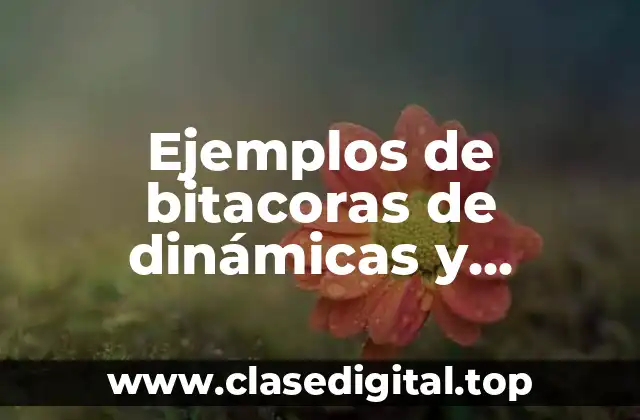 Ejemplos de bitacoras de dinámicas y Significado