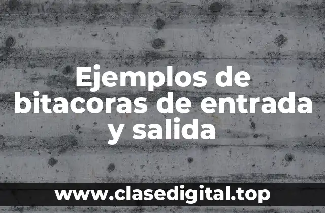 Ejemplos de bitacoras de entrada y salida