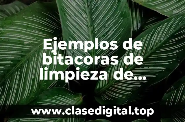 Ejemplos de bitacoras de limpieza de cableados