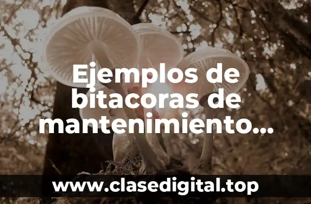 Ejemplos de bitacoras de mantenimiento vehicular