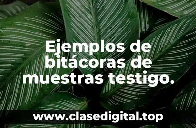 Ejemplos de bitácoras de muestras testigo