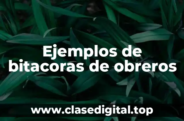 Ejemplos de bitacoras de obreros