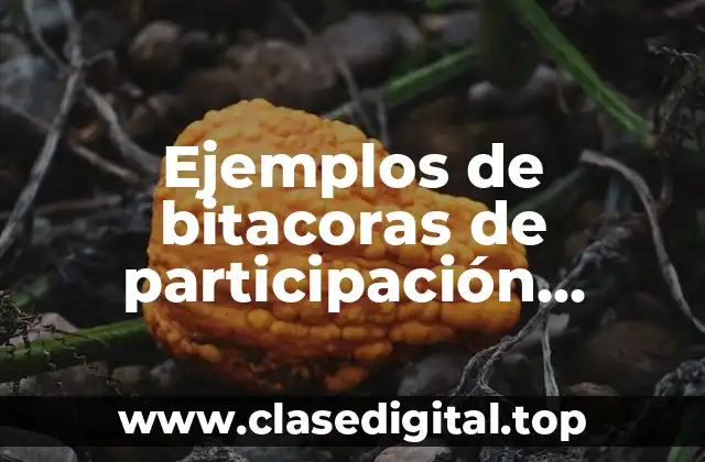 Ejemplos de bitacoras de participación estudiantil