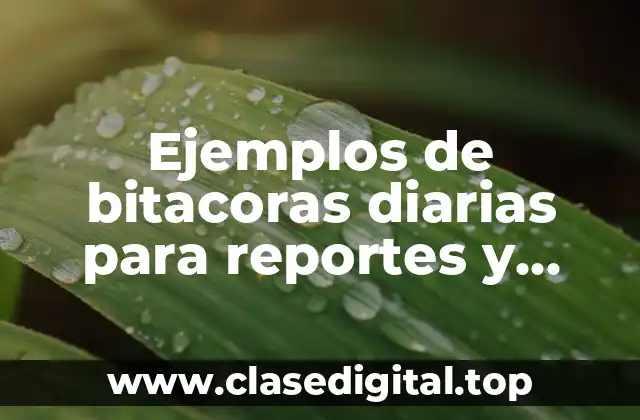 Ejemplos de bitacoras diarias para reportes