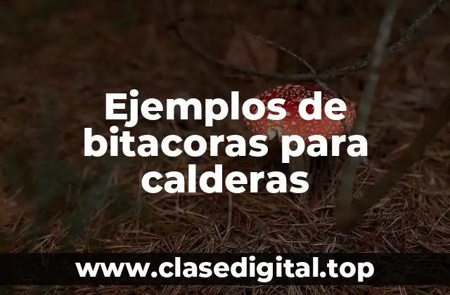 Ejemplos de bitacoras para calderas