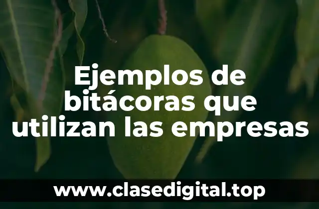 Ejemplos de bitácoras que utilizan las empresas