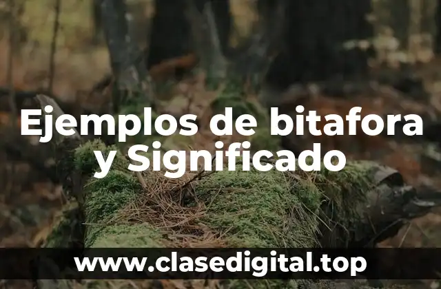 Ejemplos de bitafora y Significado