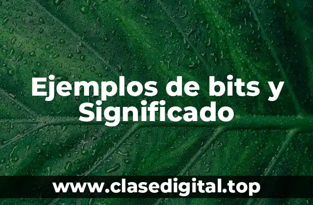 Ejemplos de bits