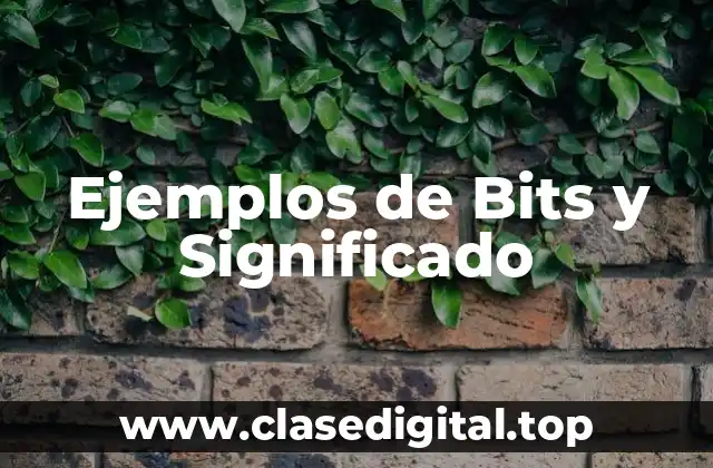 Ejemplos de Bits y Significado