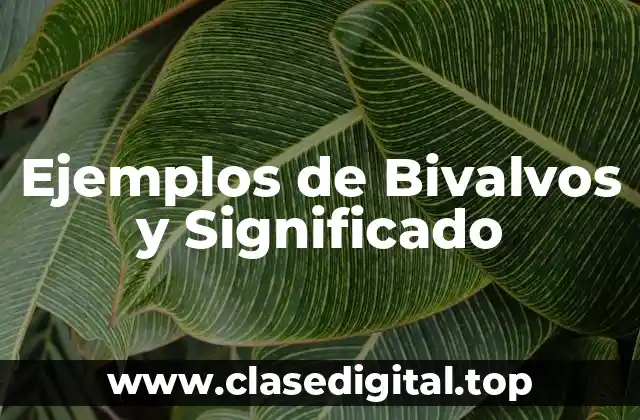 Ejemplos de Bivalvos y Significado