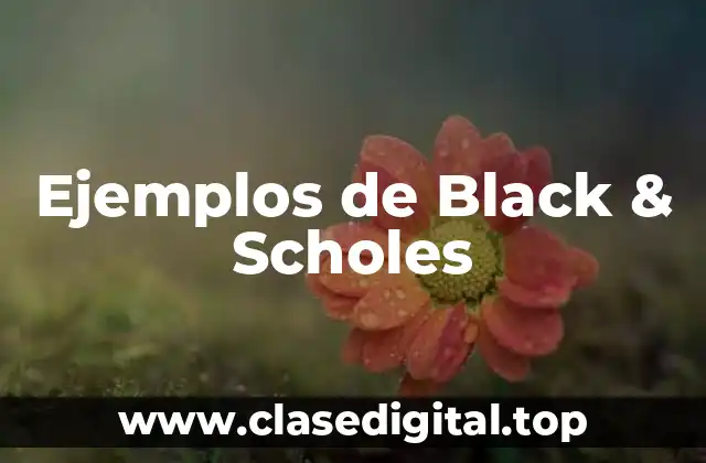Ejemplos de Black & Scholes