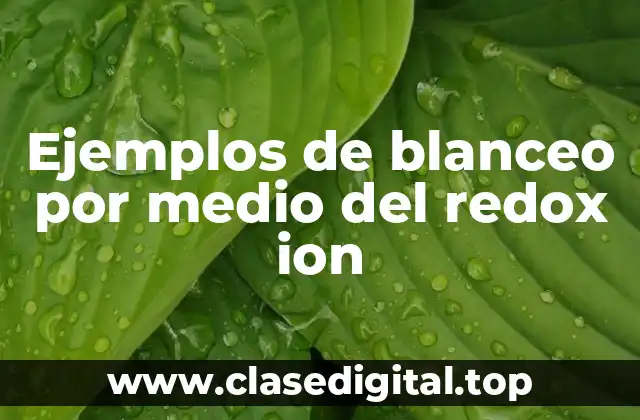 Ejemplos de blanceo por medio del redox ion
