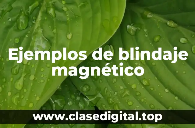 Ejemplos de blindaje magnético