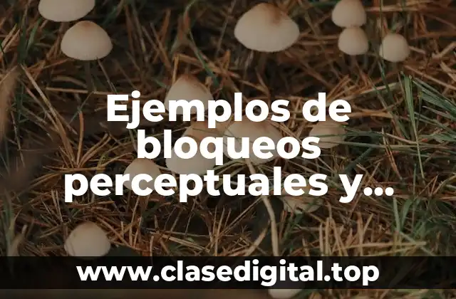 Ejemplos de bloqueos perceptuales y Significado