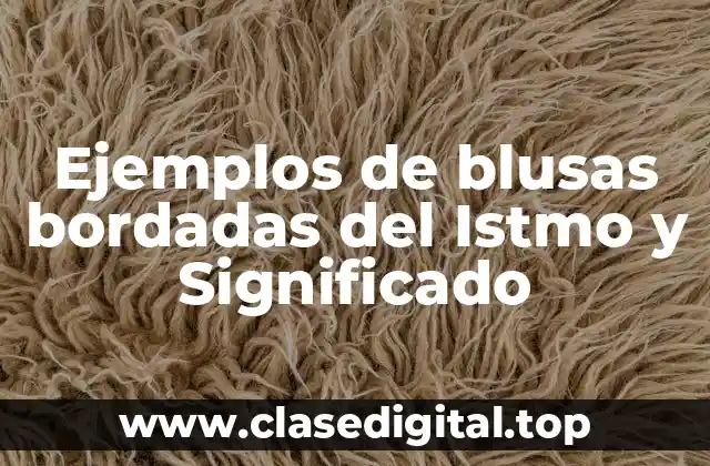 Ejemplos de blusas bordadas del Istmo y Significado