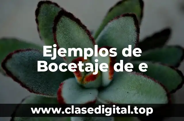 Ejemplos de Bocetaje de e