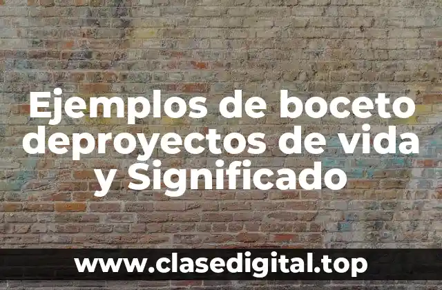 Ejemplos de boceto de proyectos de vida