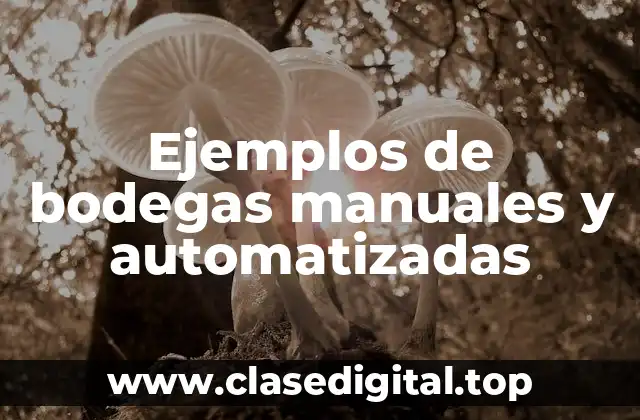 Ejemplos de bodegas manuales y automatizadas