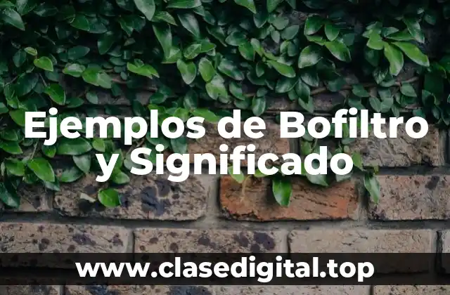 Ejemplos de bofiltros