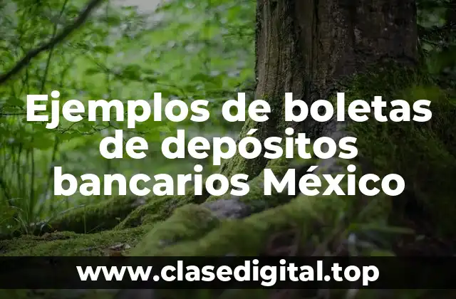 Ejemplos de boletas de depósitos bancarios México