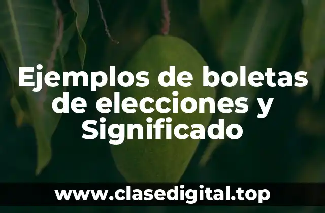 Ejemplos de boletas de elecciones y Significado
