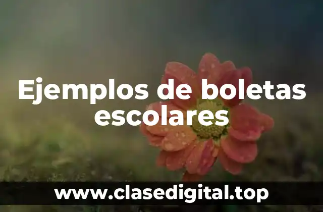 Ejemplos de boletas escolares
