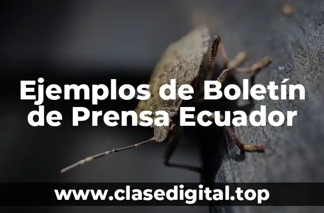 Ejemplos de Boletín de Prensa Ecuador