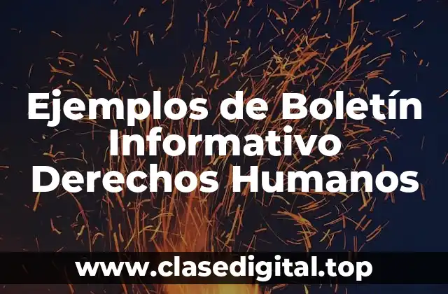Ejemplos de Boletín Informativo Derechos Humanos