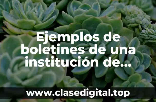 Ejemplos de boletines de una institución de Tehuacán
