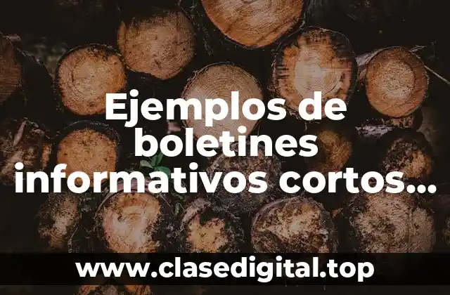 Ejemplos de boletines informativos cortos para primaria