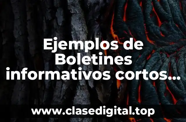 Ejemplos de Boletines informativos cortos periodico