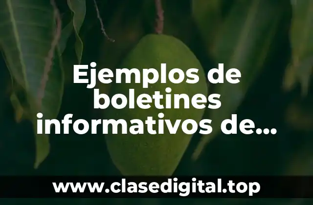 Ejemplos de boletines informativos de Jalpan de Serra Qro.