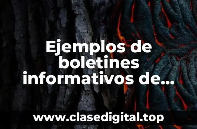 Ejemplos de boletines informativos de niños de quinto año