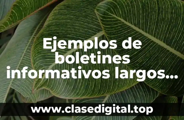 Ejemplos de boletines informativos largos y Significado
