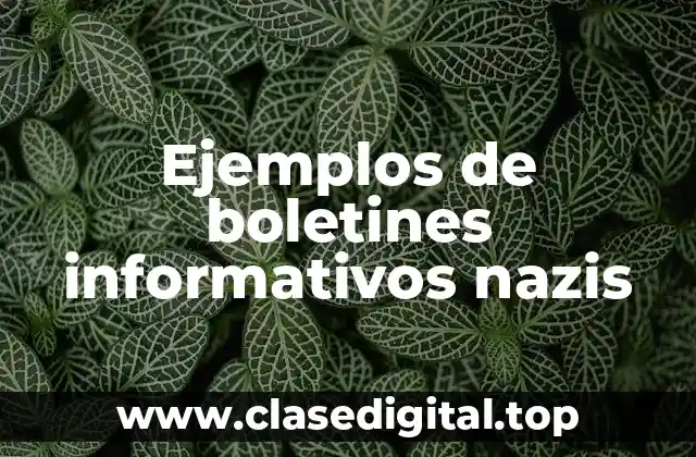 Ejemplos de boletines informativos nazis