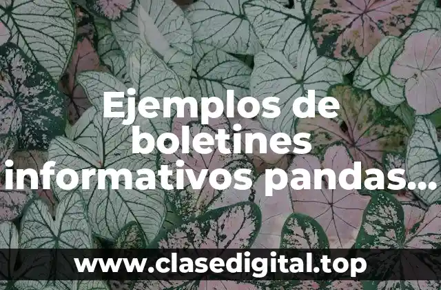 Ejemplos de boletines informativos pandas y Significado