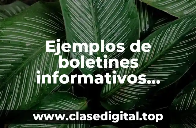 Ejemplos de boletines informativos Pinterest