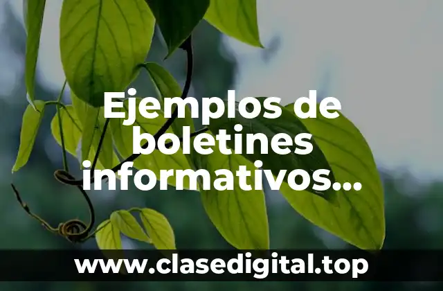 Ejemplos de boletines informativos radiofónicos