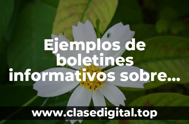 Ejemplos de boletines informativos sobre higiene y seguridad