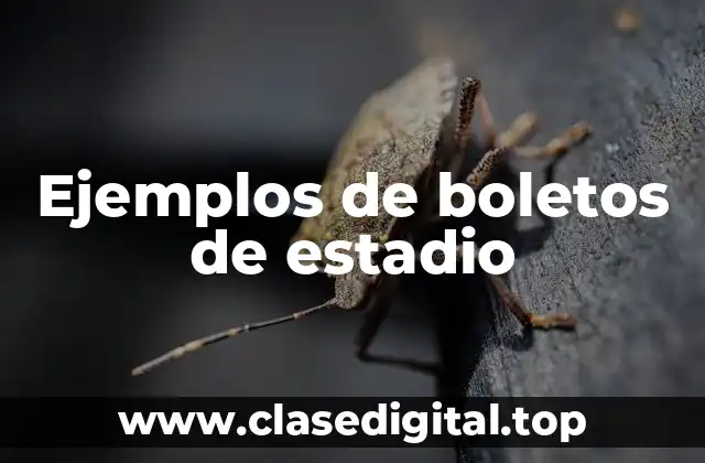 Ejemplos de boletos de estadio