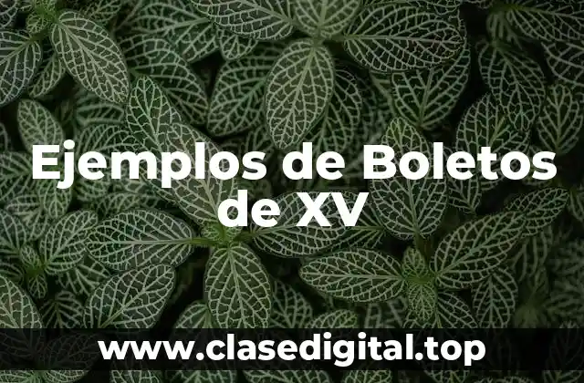 Ejemplos de Boletos de XV