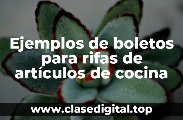 Ejemplos de boletos para rifas de artículos de cocina