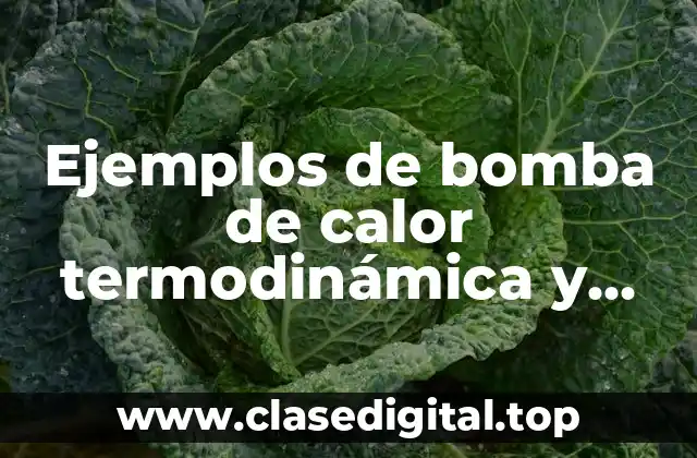 Ejemplos de bomba de calor termodinámica y Significado