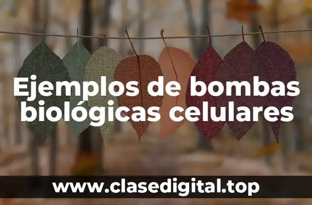 Ejemplos de bombas biológicas celulares