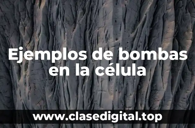 Ejemplos de bombas en la célula